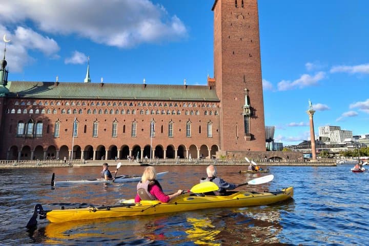 Guided Kayak Tour in Central Stockholm
