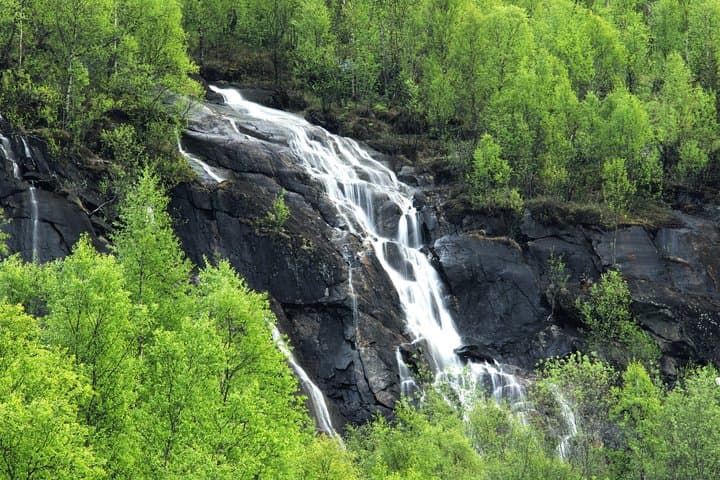 Discover Abisko Natioalpark : A Private Guided Nature Tour