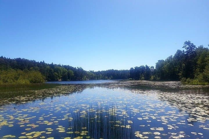 Lake Forest Thermal Swim and Sauna Experience