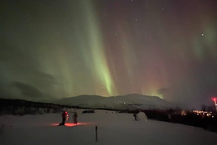 Abisko Northern Lights and Arctic Ecology Tour