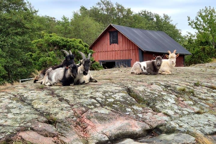 Stockholm Archipelago Trail Hike to Landsort Lighthouse