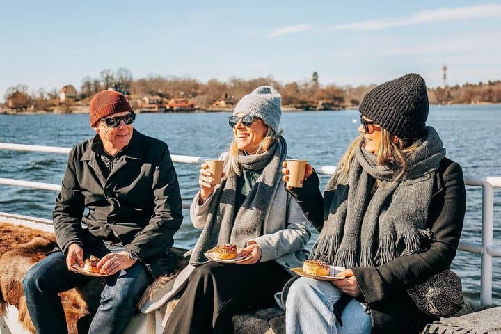 Stockholm Winter Boat Tour with Guide