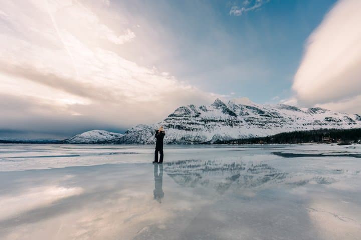 Hidden Fjords and Wildlife Expedition with Packed Lunch