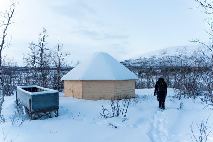 Abisko Arctic Reindeer and Sami Cultural Experience