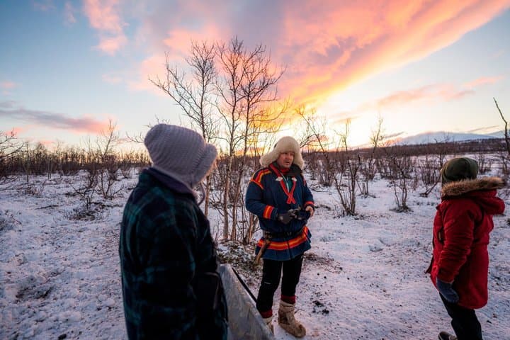 Abisko Arctic Reindeer and Sami Cultural Experience