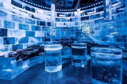 Private Tour of Stockholm with a visit to the Absolute ice bar