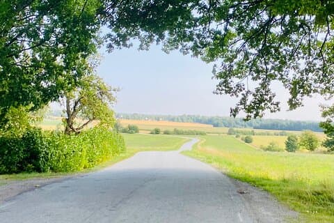 My rides will take you to places you have never been.