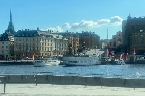 Premium City Tour Stockholm Private Guide by Luxury Car