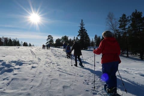 Luleå Snowshoe Walking Tour in Swedish Lapland