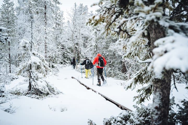 Snowsheing through swedish forest