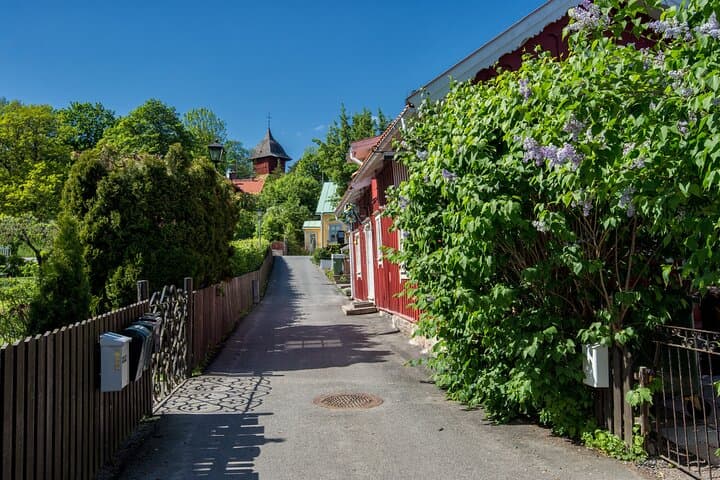 Private Walking Tour of Sigtuna with Town Hall and Museum