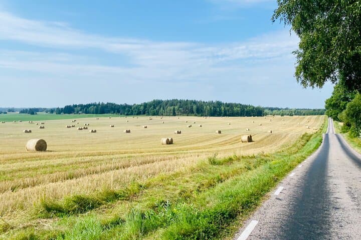 I take you on a morning ride, a half day ride or a full day in the saddle.