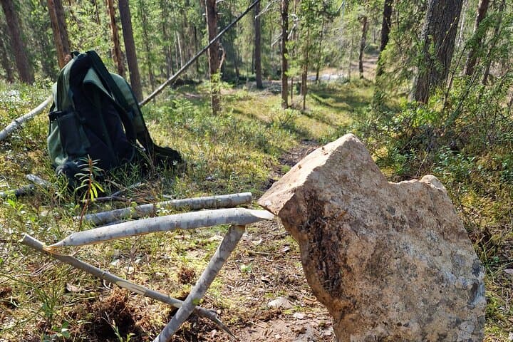 Discover the Kiruna Wilderness: A Guided Forest Walk