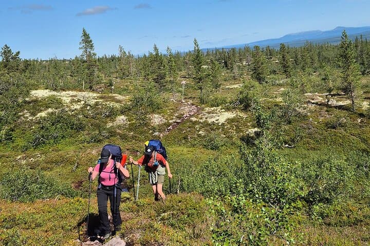 Mountain walk with husky companion
