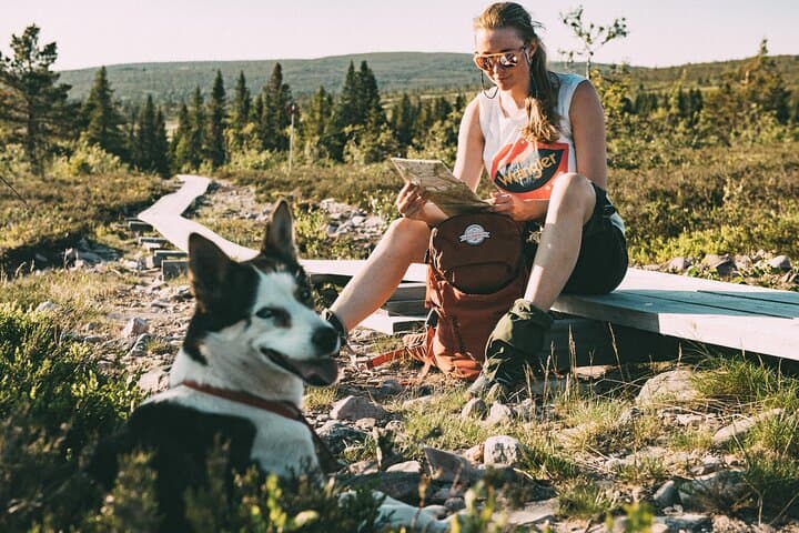 Mountain walk with husky companion