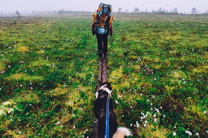 Mountain walk with husky companion
