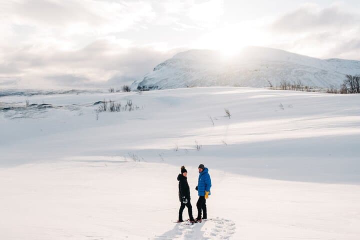 Abisko Daytime Photo Hike Snowshoe Adventure Tour