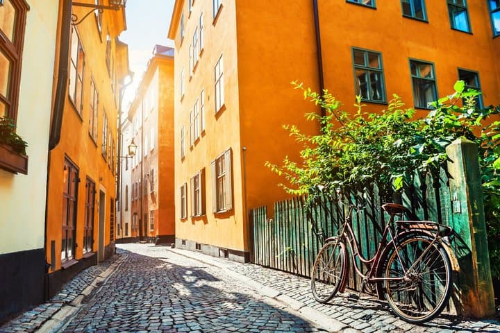 Cruise Friendly Stockholm Tour with Vasa Museum and Leisure Time