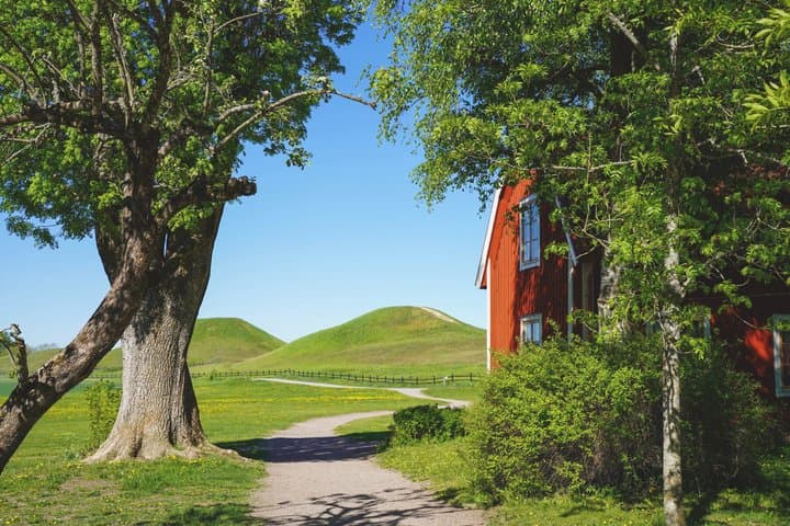 Private Uppsala & Sigtuna Day Trip from Stockholm – Half Day Tour