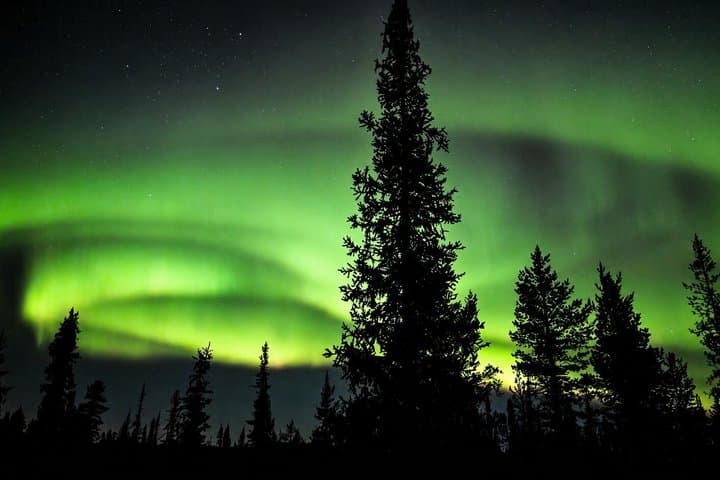Kiruna: Private Snowshoeing & Sauna Experience
