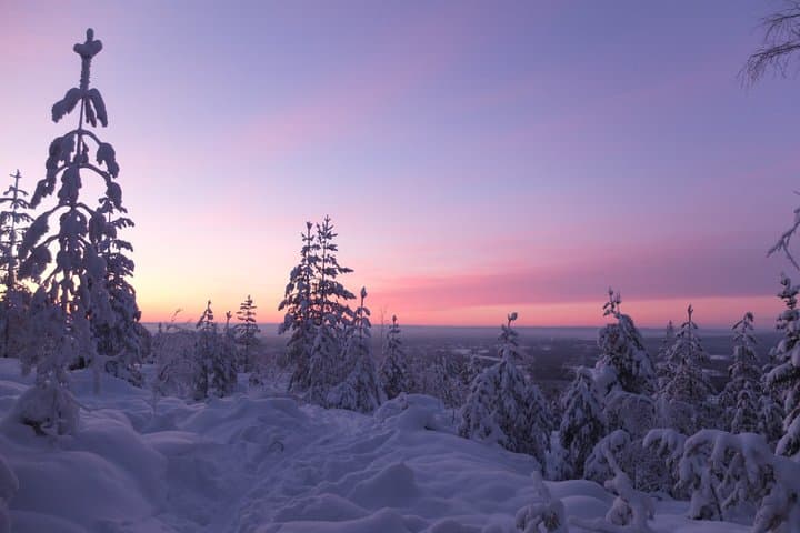 Luleå Snowshoe Walking Tour in Swedish Lapland