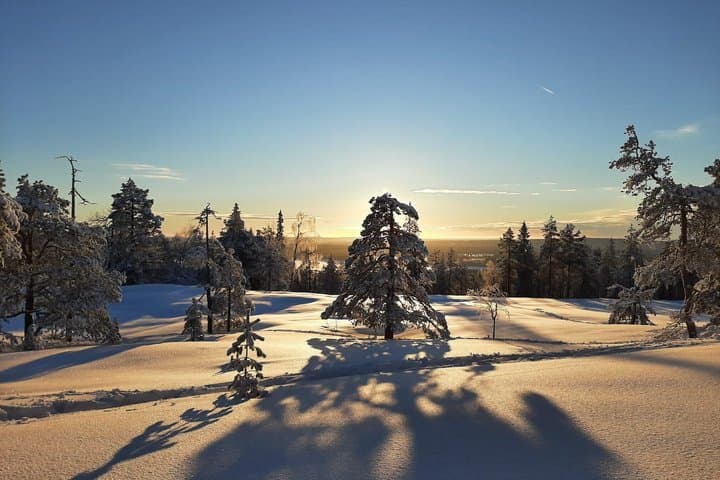 Luleå Snowshoe Walking Tour in Swedish Lapland