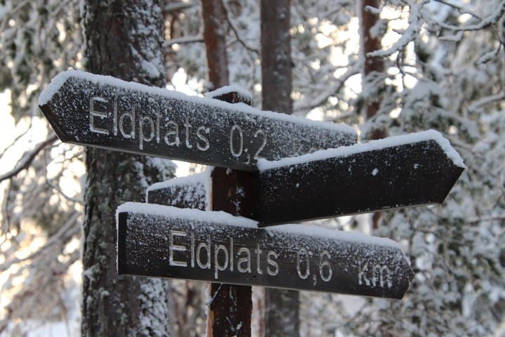 Luleå Snowshoe Walking Tour in Swedish Lapland