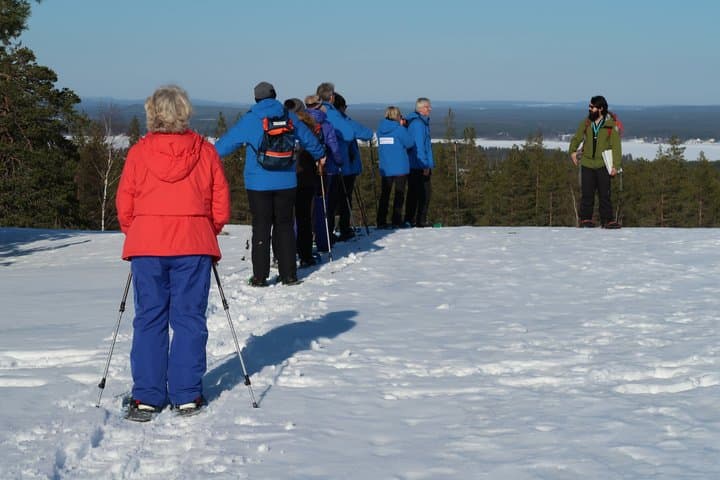 Luleå Snowshoe Walking Tour in Swedish Lapland